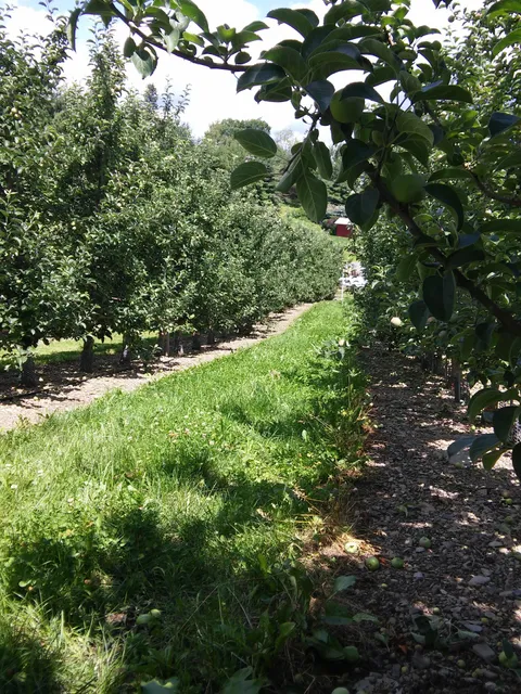 Minard Farms Beverage Company Inc.