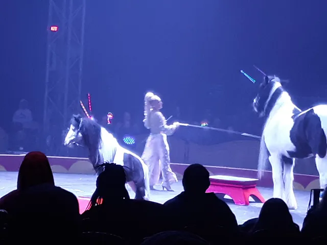 Tarzan Zerbini Circus Corporate Office