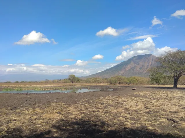 Visitor Center Baluran National Park