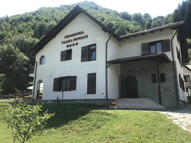 Pensiunea Valea Pinului