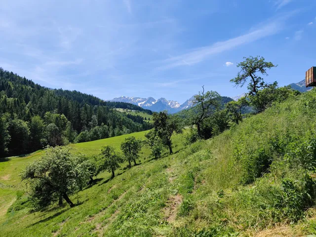 Schaf- und Pferdehof Klinser
