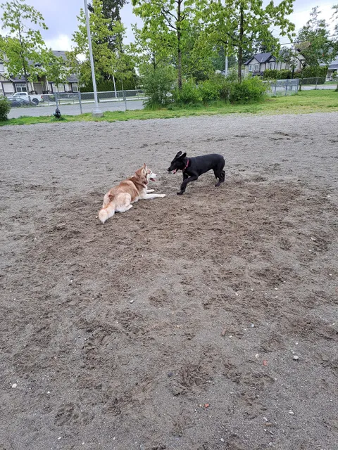 Freedom Dog Park