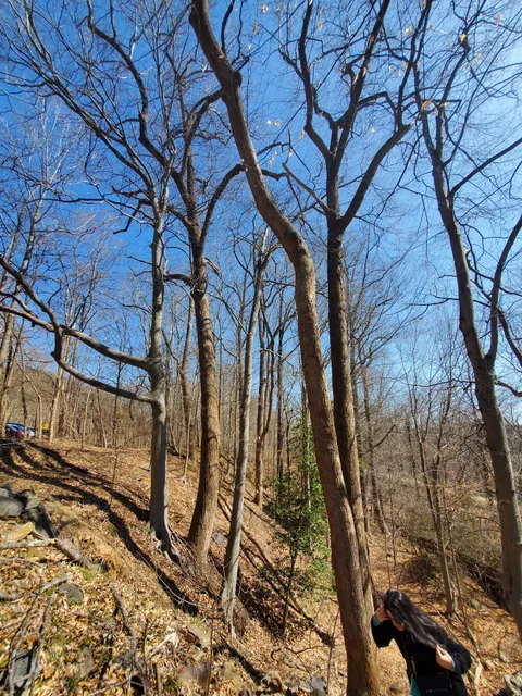 Billy Goat Trail Section C, West End