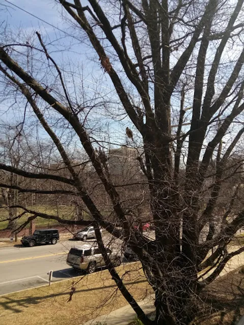 Cafe Verde Store & Cafe