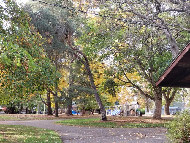 View Ridge Playfield Park