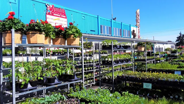 Swain's General Store