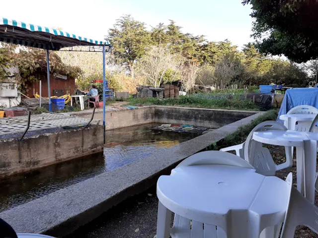 Les Parcs Du Passage