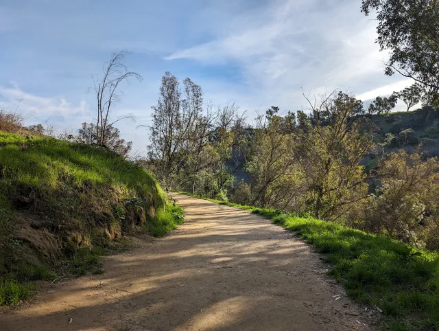 Elysian Park Trail