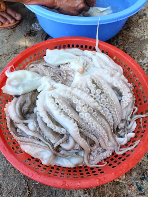 Cơ Sở Hải Sản Linh Nhung