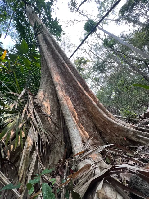 Cat Tien national park