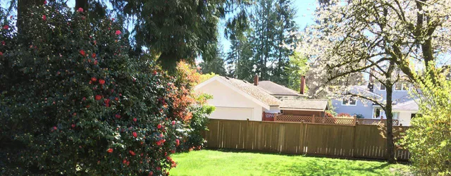 Peach Blossom Childcare Centre