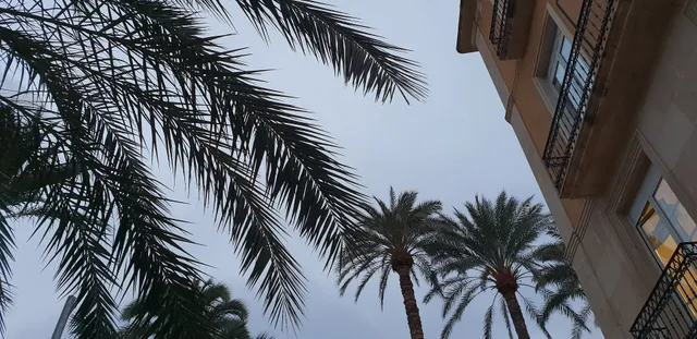 Apartamentos Europa House Loft