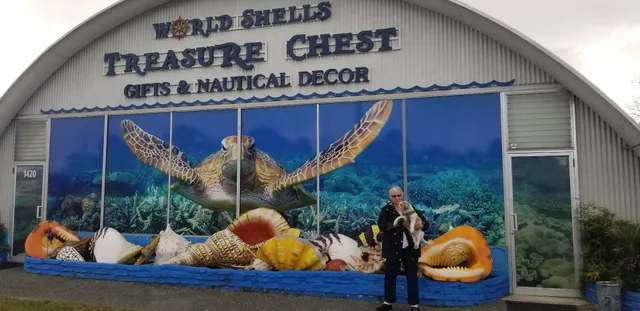 World Shells Treasure Chest