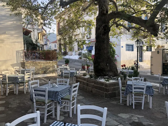 Ο Παλιός Πλάτανος