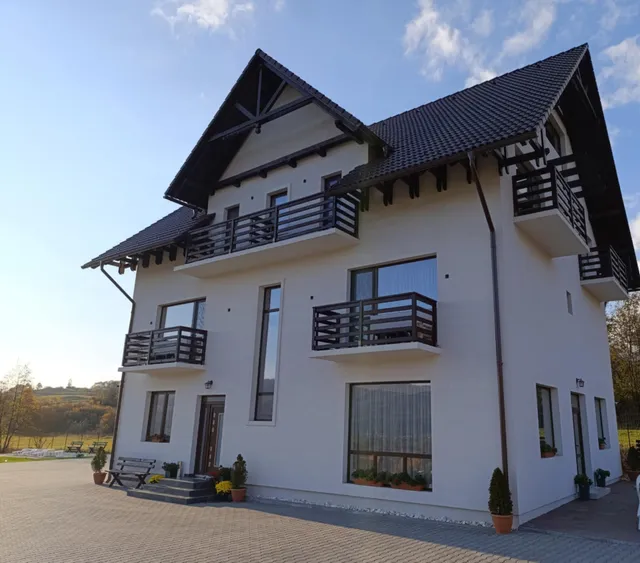 President Sovata Villa