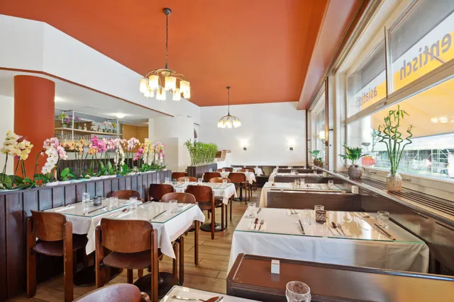 Royal Panda - Lunch Buffet - Lunch Take Away ab 8 CHF