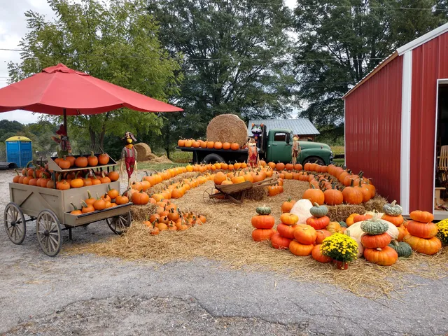 Saunders Family Farms