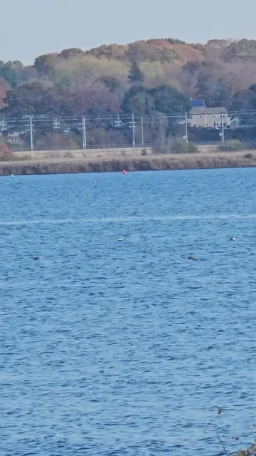 Waterford Recreation & Parks