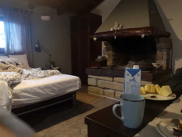 Studio Apartment Cami