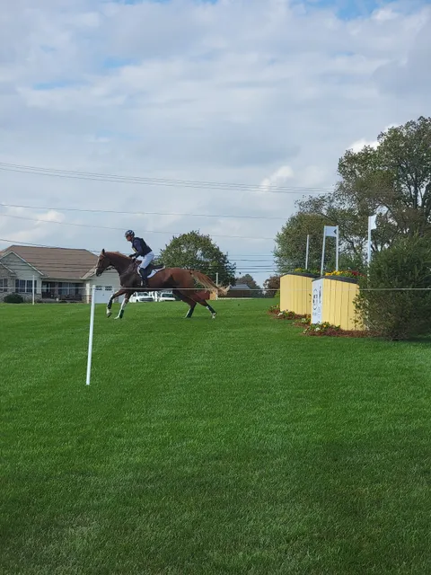 Fair Hill International Inc