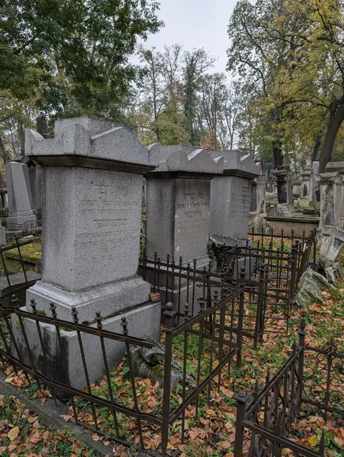 Jüdischer Friedhof Währing