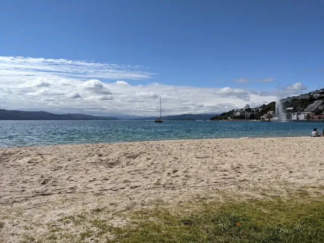 Oriental Bay Lookout