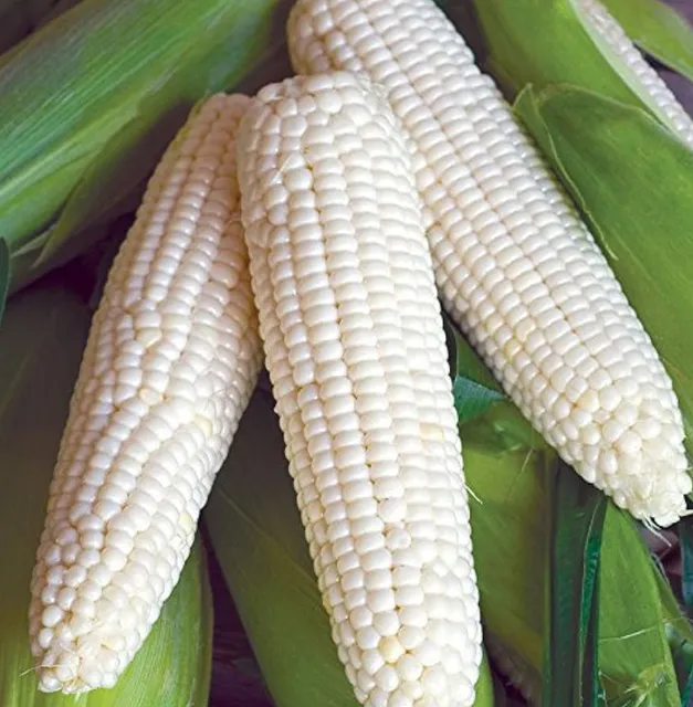 Harbison Farm / Farm Market LLC