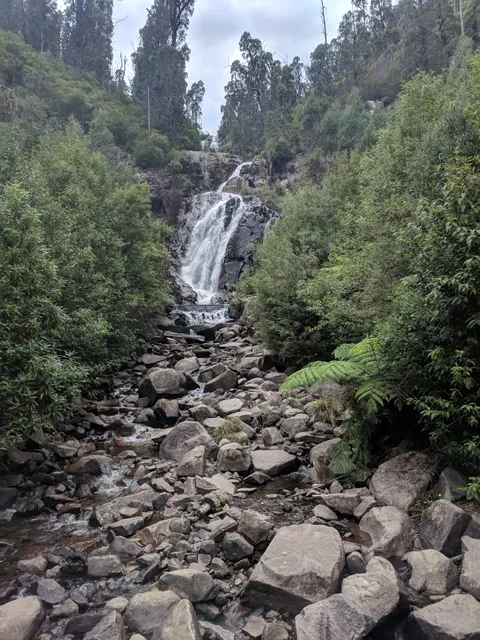 Steavenson Falls Reserve