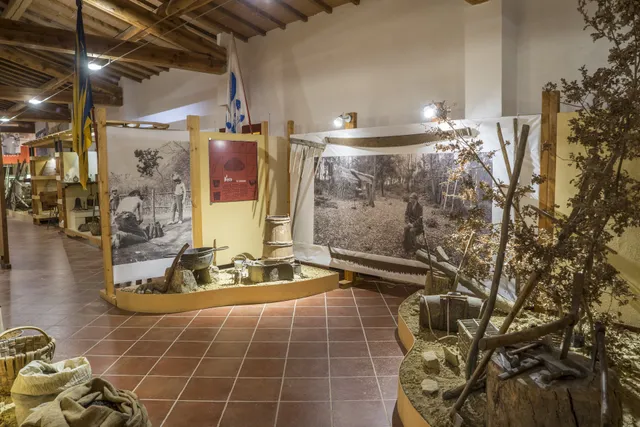 Museo della Comunità di Montalcino e del Brunello