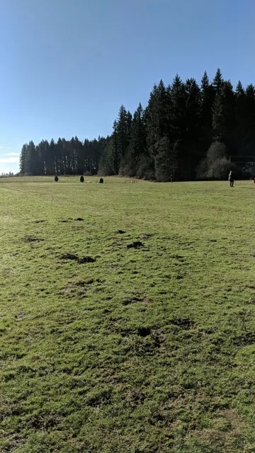 Lucky Memorial Dog Park