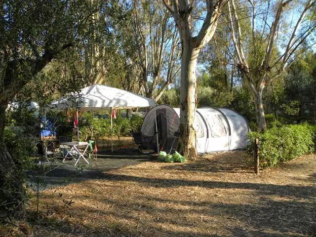 Camping Soleado Ltd.