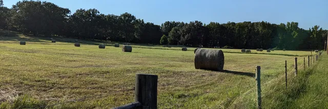 T&C Farms