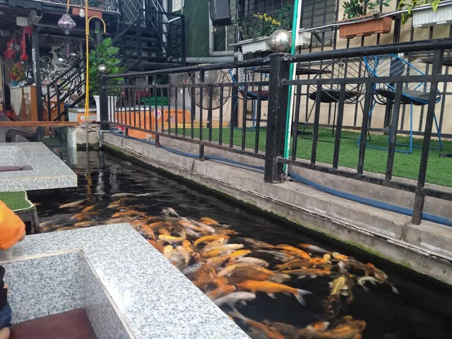 Koi Fish Coffee Hóc Môn