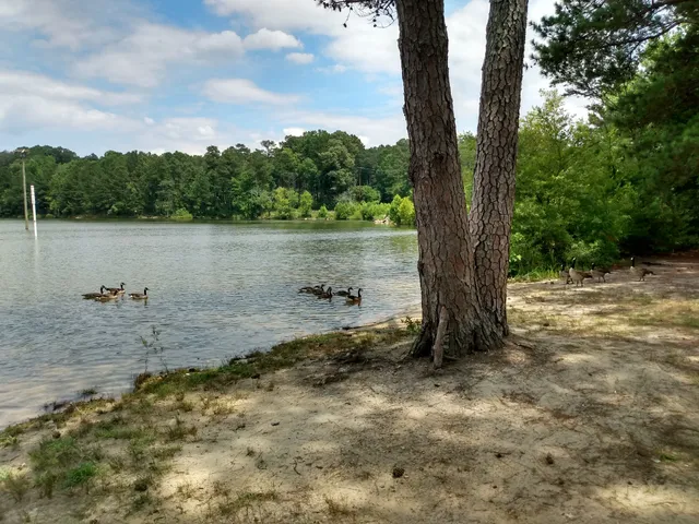 Upper Tanyard Creek Swimming Beach