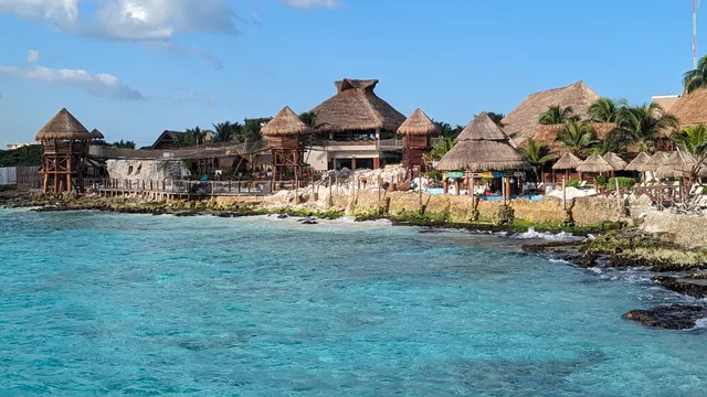 Costa Maya Chunky Monkey Tours