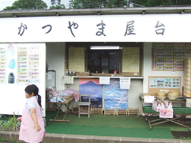 河口湖バーベキュー場 かつやま屋台