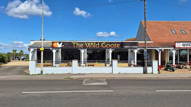 The Wild Goose