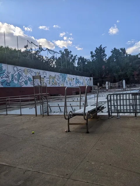 Tony Dapolito Outdoor Pool