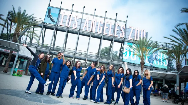 American College Of Healthcare & Technology