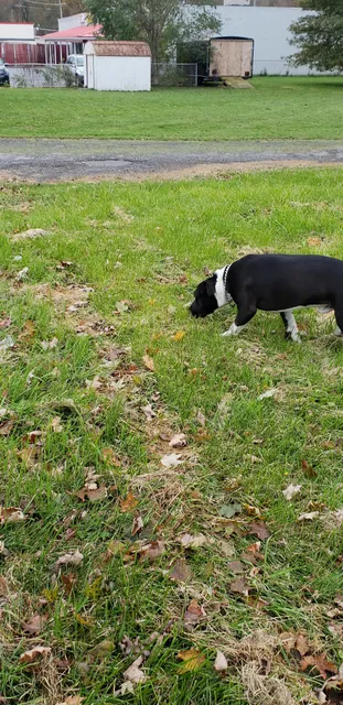 Bellwood Wash And Dry