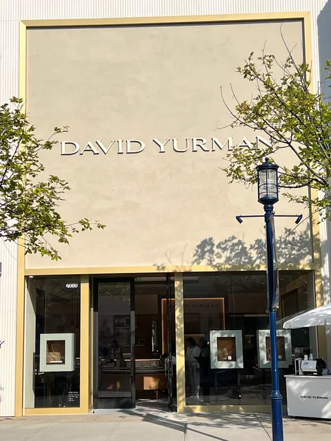 David Yurman