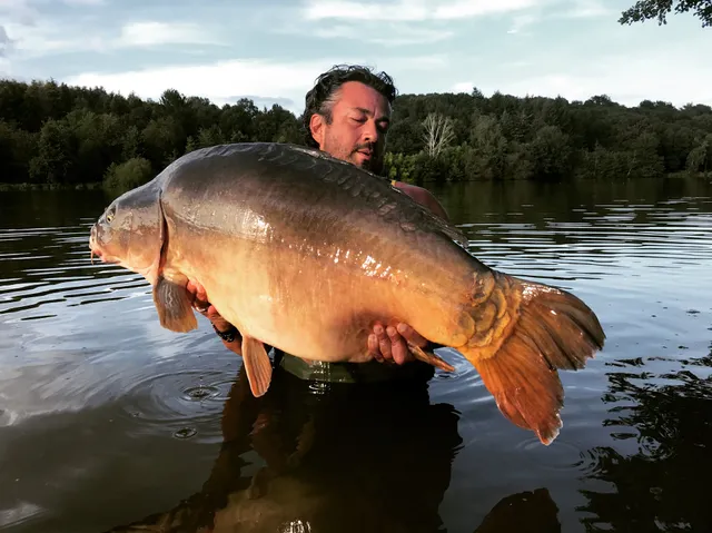Domaine de la Ribière