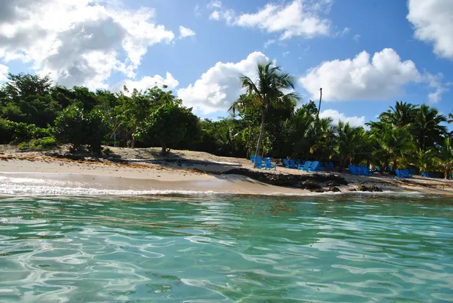 SeavisTours | Saona Island Excursions