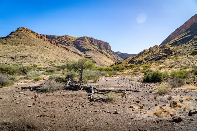 Naukluft Olive Trail