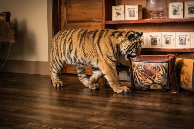 John Banovich & Banovich Brand