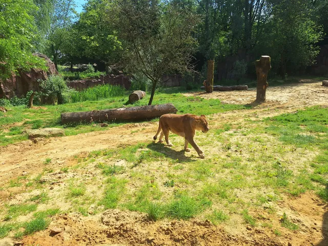 ZOOM - Themenwelt Asien