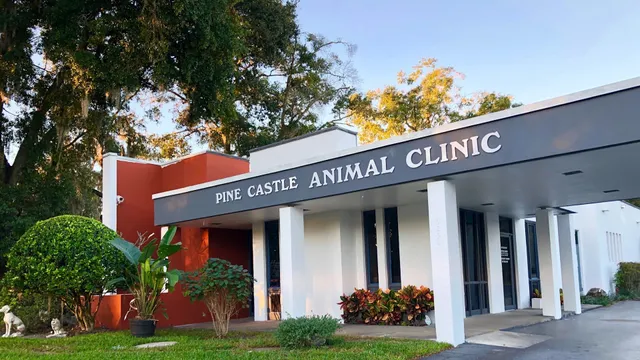 Pine Castle Animal Clinic