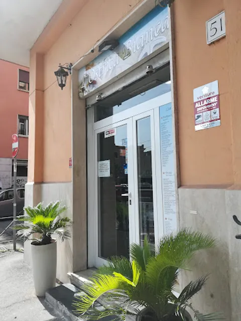 Ristorante Pescheria L' Ostrica Bianca