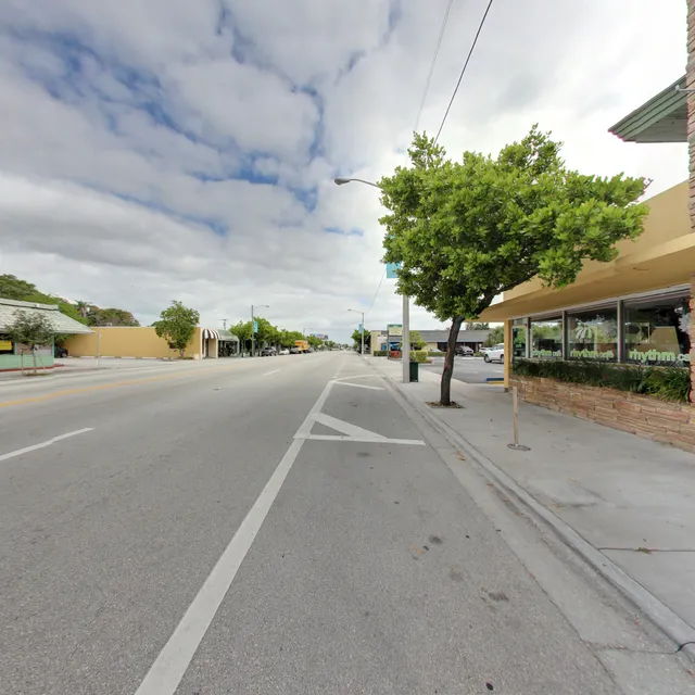 The Elephant's Foot Antiques