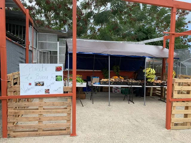 Pulguero de Bayamón